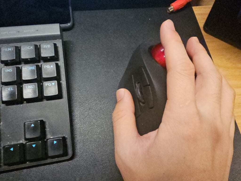 手をのせたサイズ感